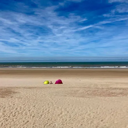 Luxestudio - Zeezicht - Groot Terras - Zwembad Oostende