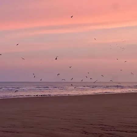 Luxury Seaview - Large Terrace- Swimming Pool - Parking Appartement *