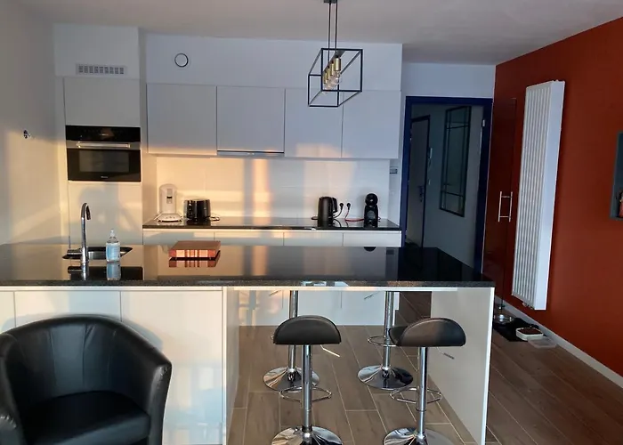 Luxury Seaview - Large Terrace- Swimming Pool - Parking 奥斯滕德