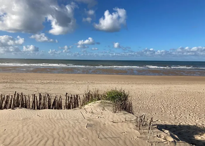 Luxury Seaview - Large Terrace- Swimming Pool - Parking