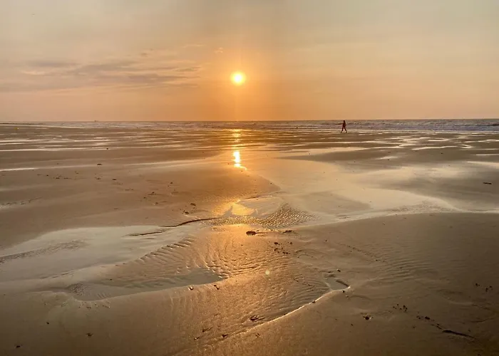 公寓 Luxury Seaview - Large Terrace- Swimming Pool - Parking 奥斯滕德