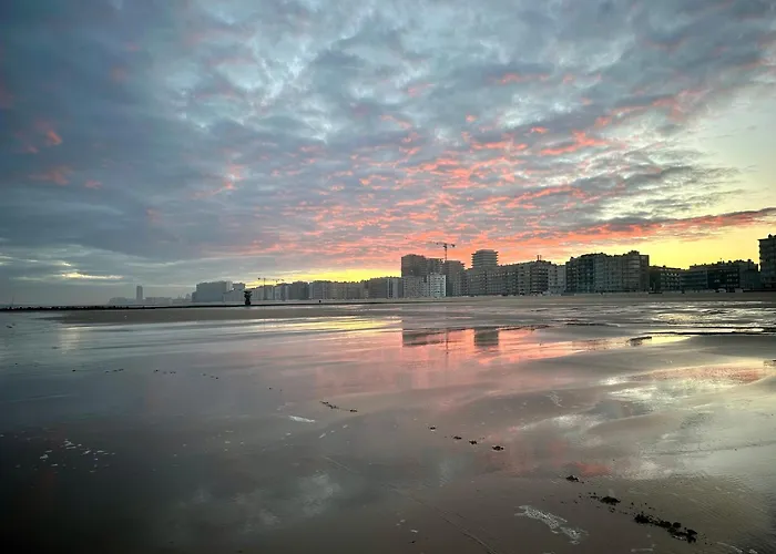 Luxury Seaview - Large Terrace- Swimming Pool - Parking *