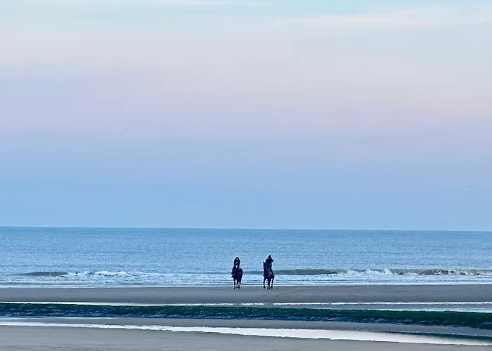 Luxury Seaview - Large Terrace- Swimming Pool - Parking