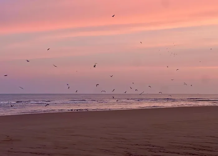 Luxury Seaview - Large Terrace- Swimming Pool - Parking Appartement *